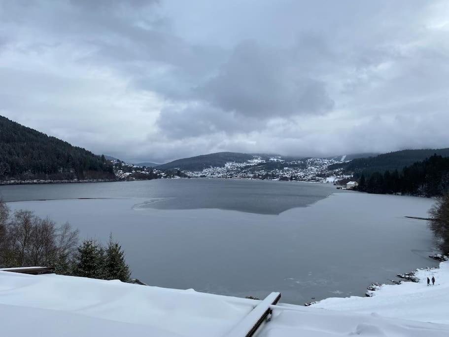 Studio Cosy Ambiance Vosgienne A 20 Mn De Gerardmer Lepanges-sur-Vologne Exterior photo