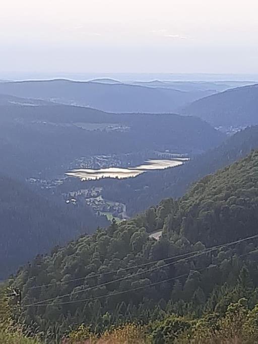 Studio Cosy Ambiance Vosgienne A 20 Mn De Gerardmer Lepanges-sur-Vologne Exterior photo