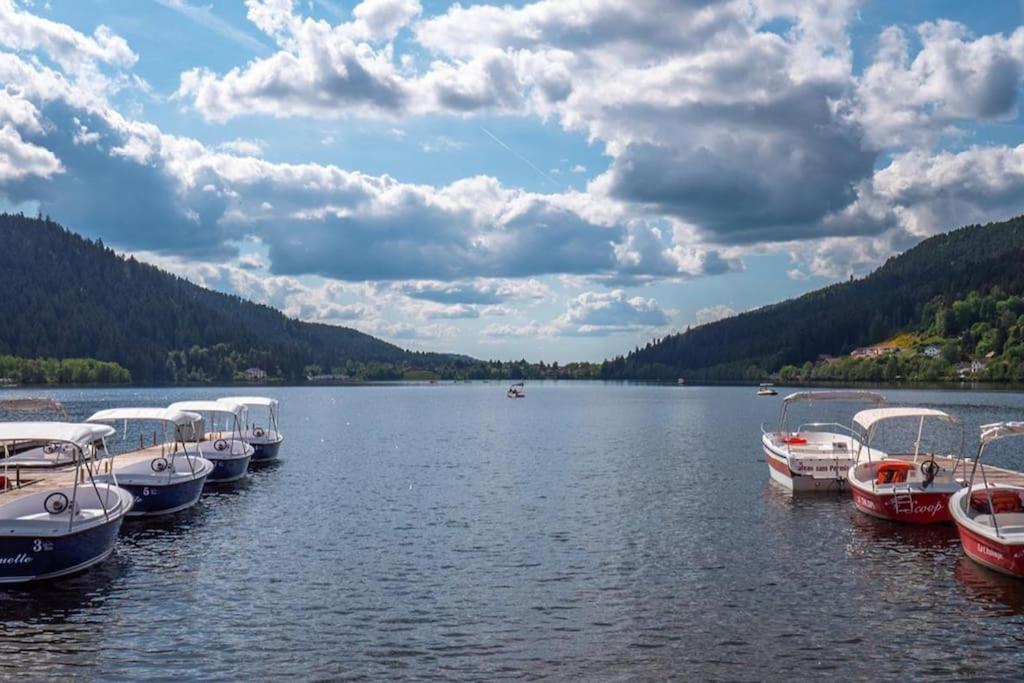Studio Cosy Ambiance Vosgienne A 20 Mn De Gerardmer Lepanges-sur-Vologne Exterior photo