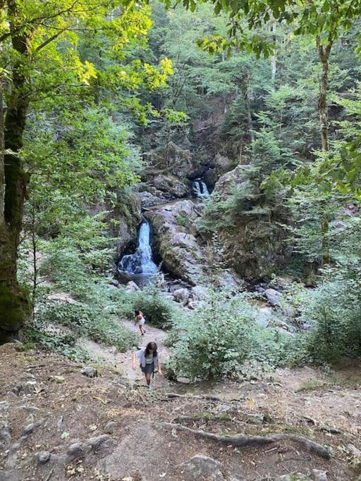 Studio Cosy Ambiance Vosgienne A 20 Mn De Gerardmer Lepanges-sur-Vologne Exterior photo